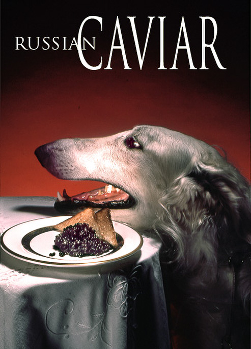 Caviar