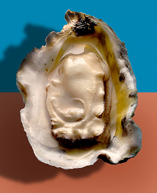 Oyster